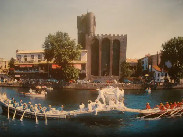 Monte Escalier Access Pose monte escalier Agde