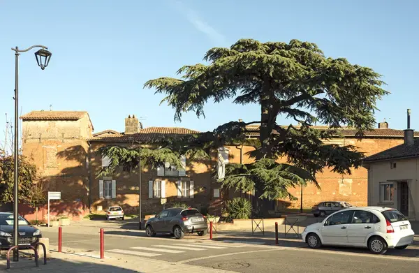 Monte Escalier Access Pose monte escalier Aussonne