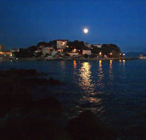 Monte Escalier Access Pose monte escalier Bandol