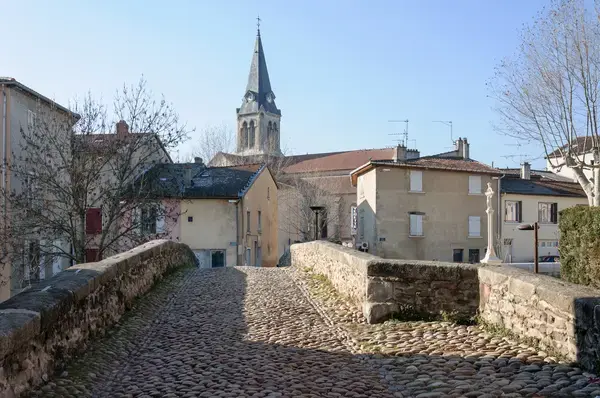 Monte Escalier Access Pose monte escalier Brignais