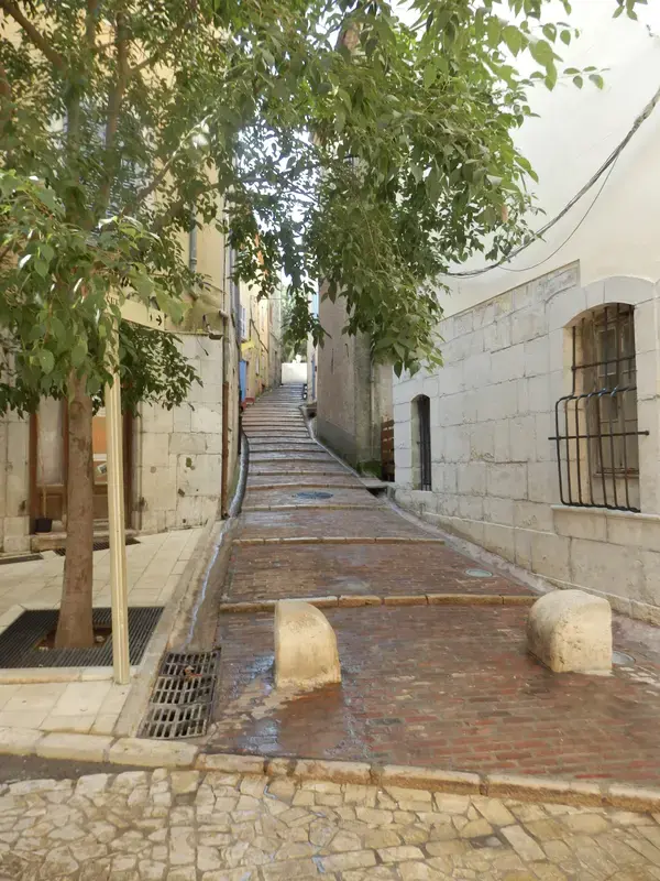 Monte Escalier Access Pose monte escalier Brignoles