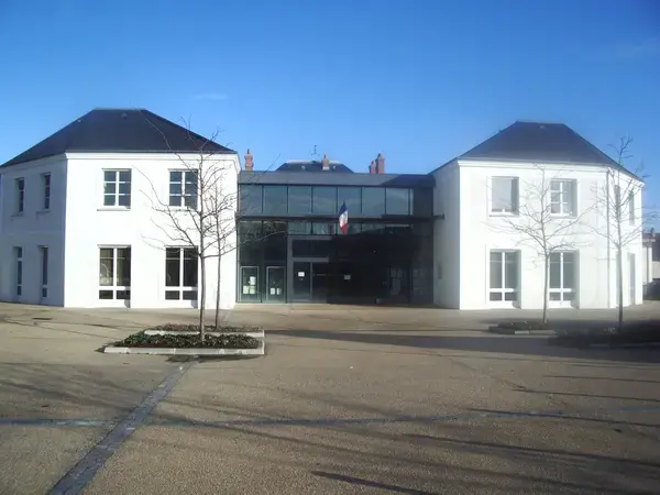 Monte Escalier Access Pose monte escalier Cesson