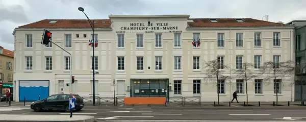 Monte Escalier Access Pose monte escalier Champigny-sur-Marne