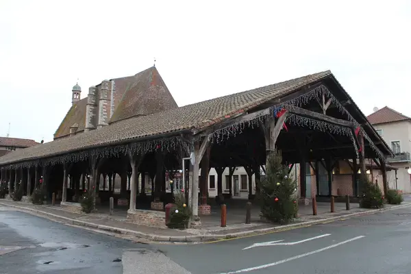 Monte Escalier Access Pose monte escalier Châtillon-sur-Chalaronne