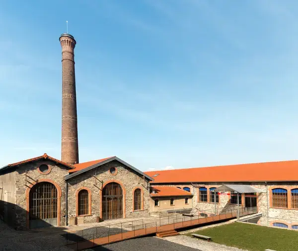 Monte Escalier Access Pose monte escalier Chazelles-sur-Lyon