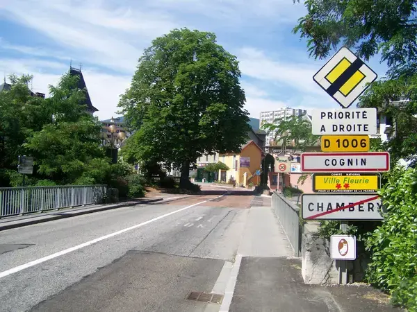 Monte Escalier Access Pose monte escalier Cognin