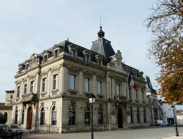 Monte Escalier Access Pose monte escalier Coutras