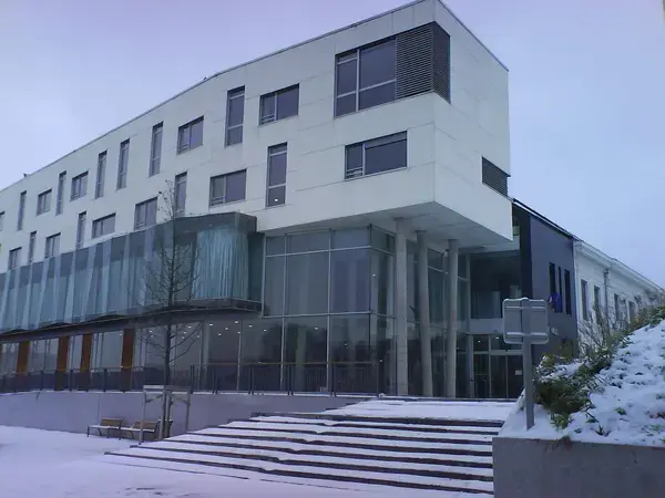 Monte Escalier Access Pose monte escalier Haubourdin