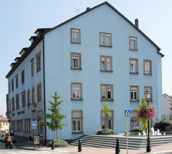 Monte Escalier Access Pose monte escalier Hégenheim