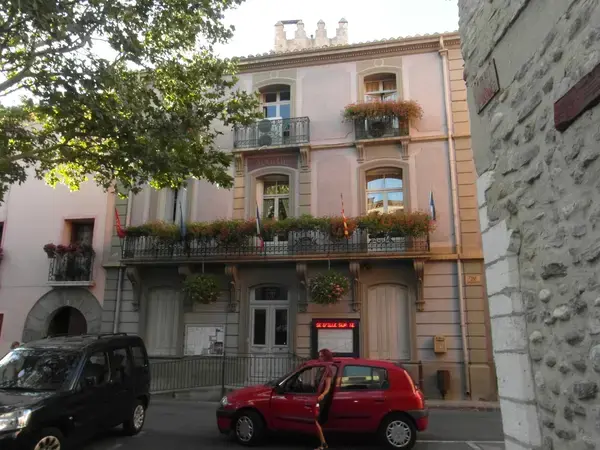 Monte Escalier Access Pose monte escalier Ille-sur-Têt