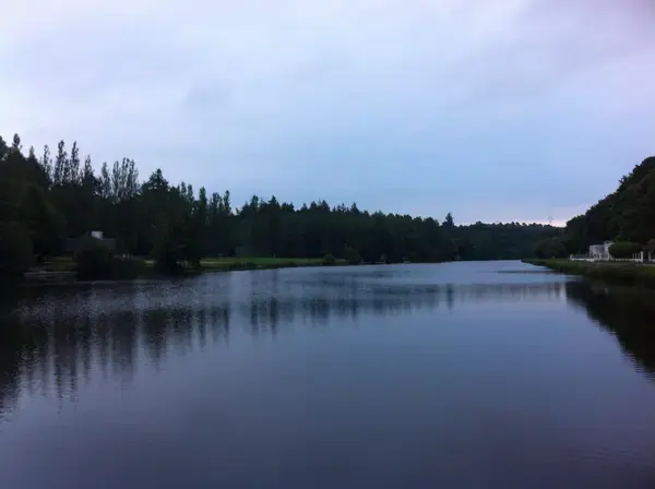Monte Escalier Access Pose monte escalier Inzinzac-Lochrist