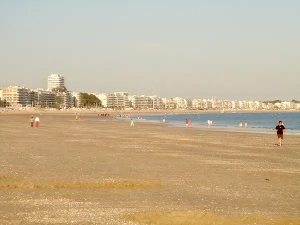 Monte Escalier Access Pose monte escalier La Baule-Escoublac