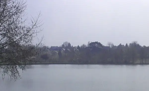 Monte Escalier Access Pose monte escalier La Bazoge