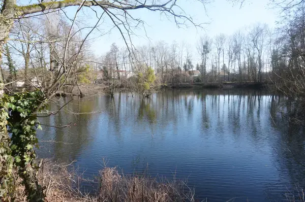 Monte Escalier Access Pose monte escalier La Chapelle-Saint-Luc