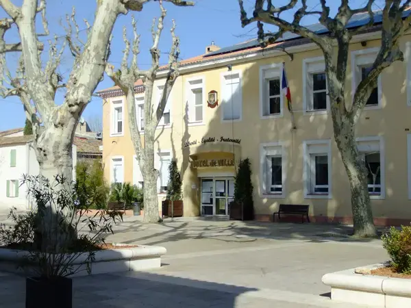Monte Escalier Access Pose monte escalier La Farlède