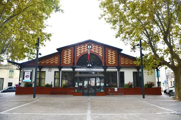 Monte Escalier Access Pose monte escalier Lansargues