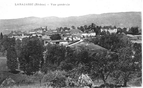 Monte Escalier Access Pose monte escalier Larajasse