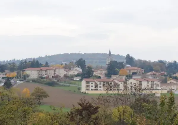 Monte Escalier Access Pose monte escalier Lentilly