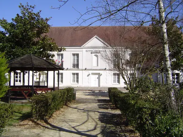 Monte Escalier Access Pose monte escalier Lognes