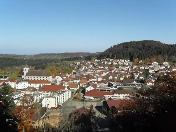 Monte Escalier Access Pose monte escalier Maîche