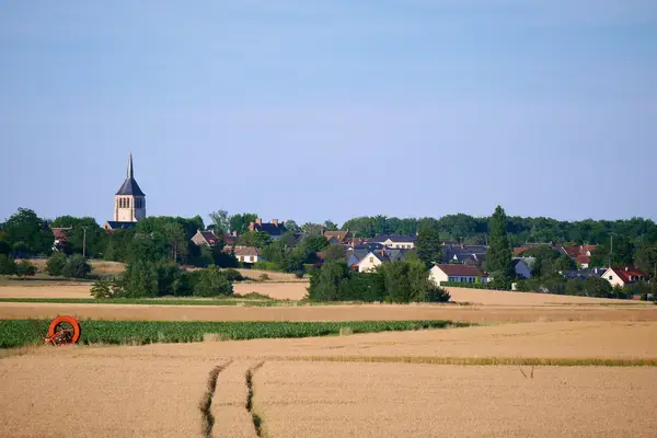 Monte Escalier Access Pose monte escalier Mardié