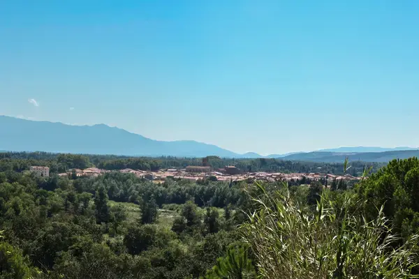 Monte Escalier Access Pose monte escalier Millas