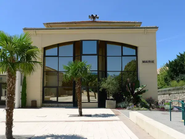 Monte Escalier Access Pose monte escalier Montélier