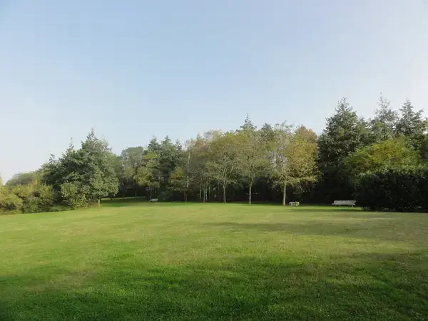 Monte Escalier Access Pose monte escalier Montigny-en-Gohelle
