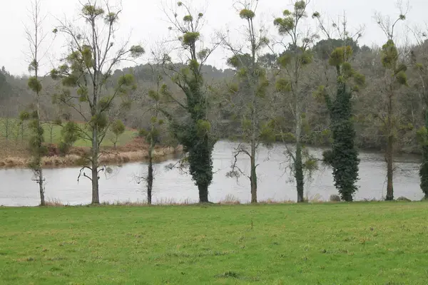 Monte Escalier Access Pose monte escalier Muzillac