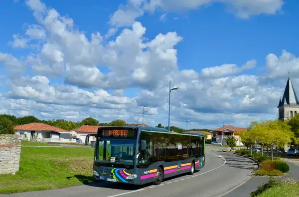 Monte Escalier Access Pose monte escalier Narrosse