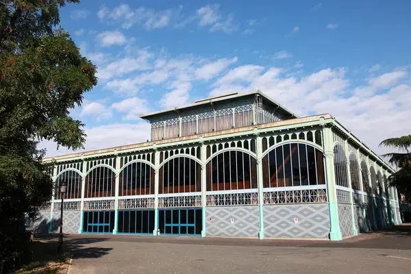 Monte Escalier Access Pose monte escalier Nogent-sur-Marne