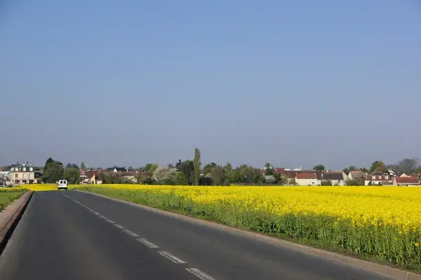 Monte Escalier Access Pose monte escalier Noiseau