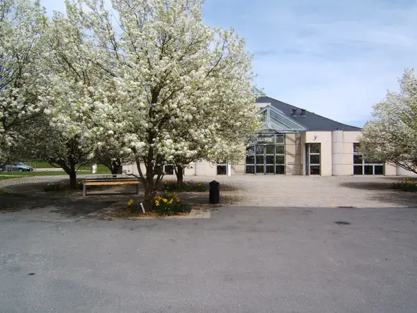 Monte Escalier Access Pose monte escalier Olemps