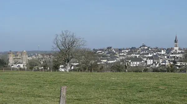 Monte Escalier Access Pose monte escalier Ombrée d'Anjou