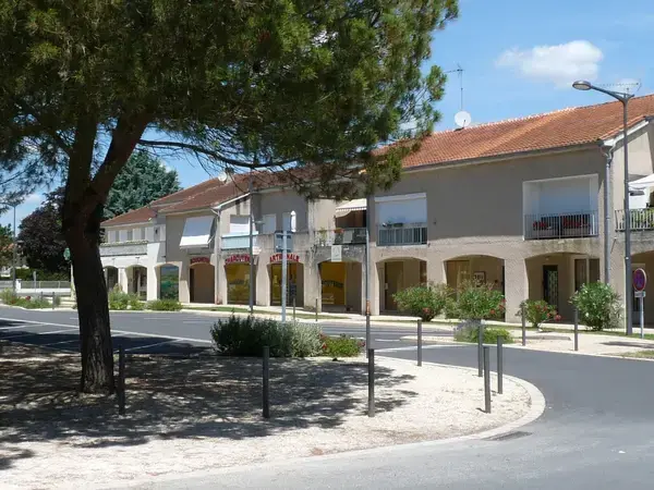 Monte Escalier Access Pose monte escalier Pineuilh