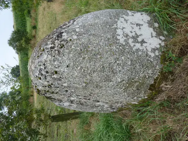 Monte Escalier Access Pose monte escalier Plaintel