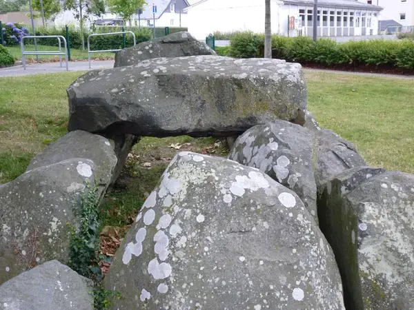 Monte Escalier Access Pose monte escalier Ploufragan