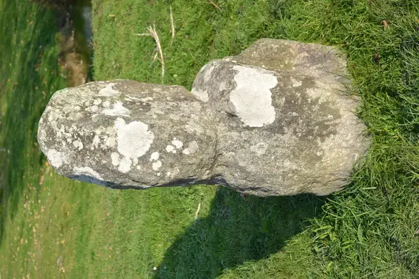 Monte Escalier Access Pose monte escalier Prinquiau