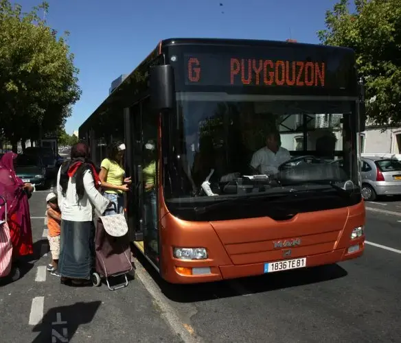 Monte Escalier Access Pose monte escalier Puygouzon