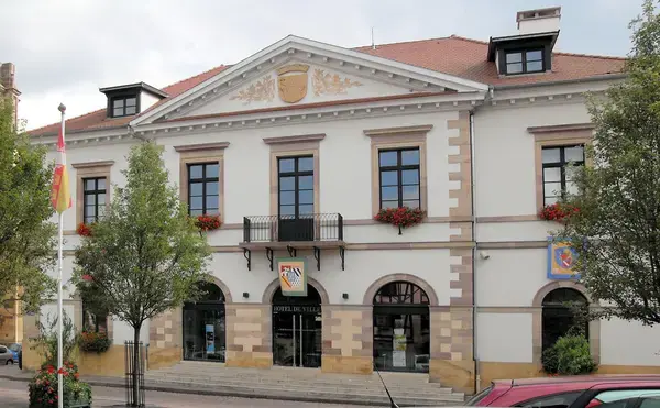 Monte Escalier Access Pose monte escalier Rouffach