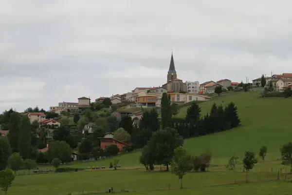 Monte Escalier Access Pose monte escalier Saint-Christo-en-Jarez
