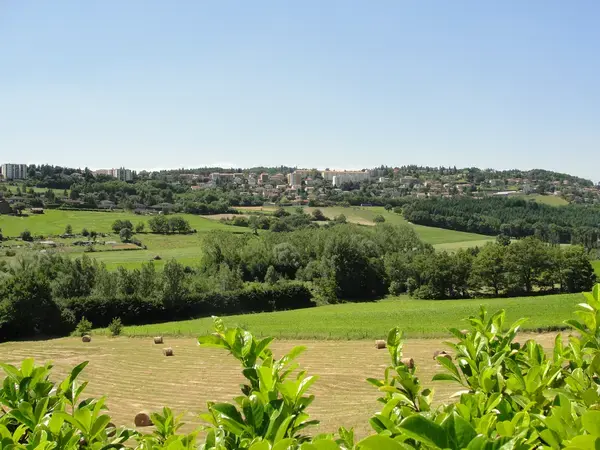Monte Escalier Access Pose monte escalier Saint-Genest-Lerpt