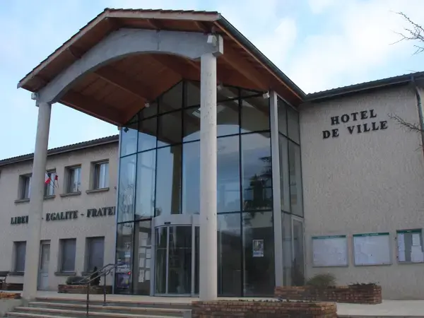 Monte Escalier Access Pose monte escalier Saint-Pierre-de-Chandieu
