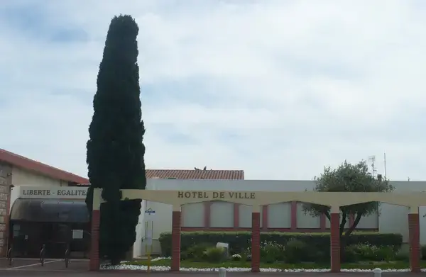 Monte Escalier Access Pose monte escalier Saleilles