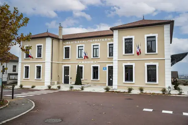 Monte Escalier Access Pose monte escalier Satolas-et-Bonce