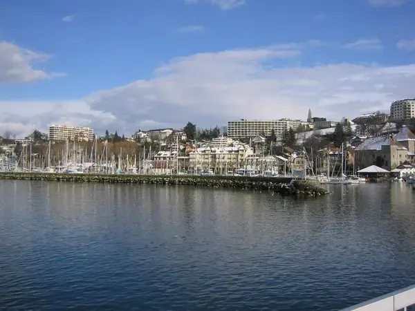 Monte Escalier Access Pose monte escalier Thonon-les-Bains