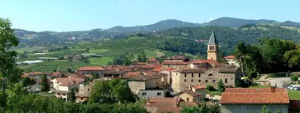 Monte Escalier Access Pose monte escalier Thurins