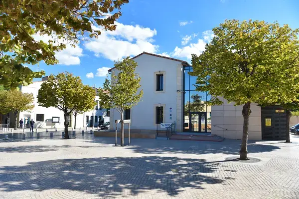 Monte Escalier Access Pose monte escalier Vic-la-Gardiole