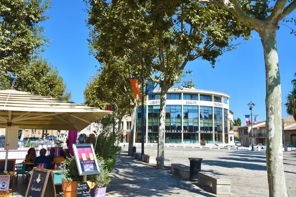 Monte Escalier Access Pose monte escalier Villeneuve-lès-Béziers