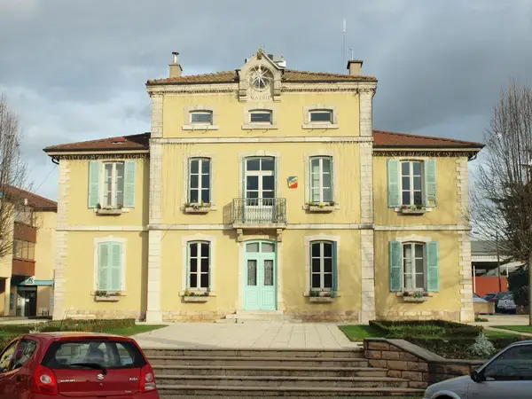 Monte Escalier Access Pose monte escalier Viriat